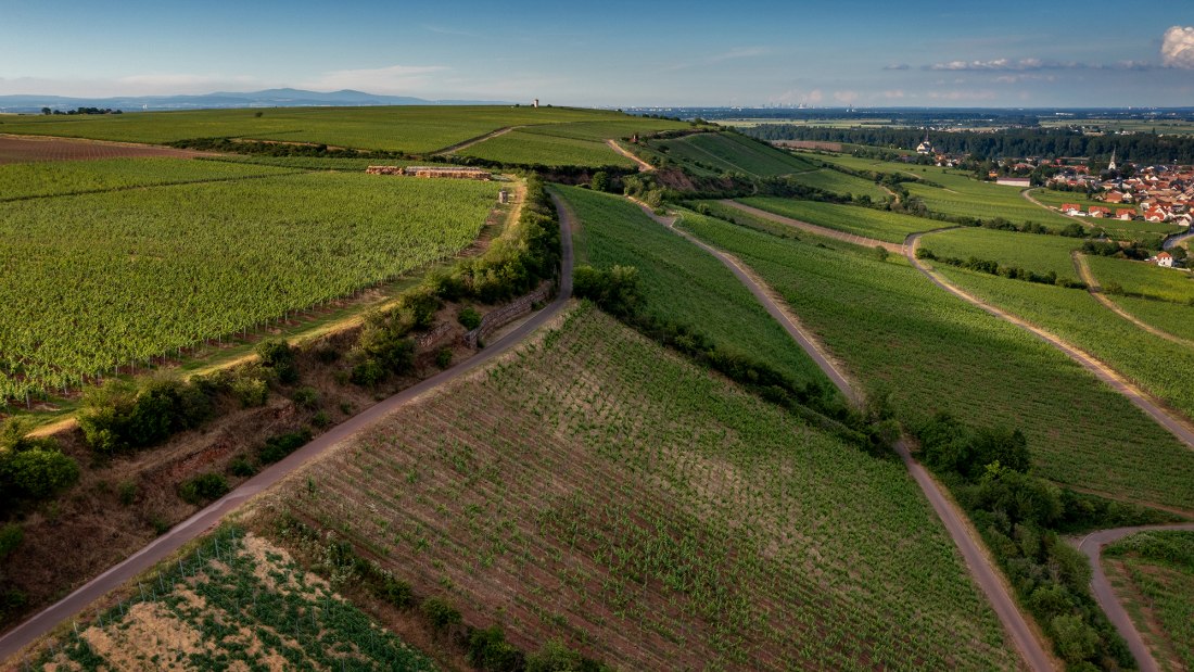 Niersteiner Orbel Niersteiner Orbel