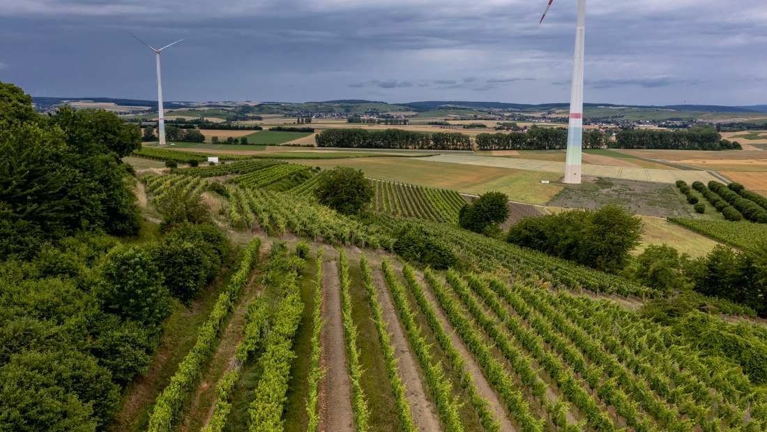 Gumbsheimer Schlosshölle Gumbsheimer Schlosshölle