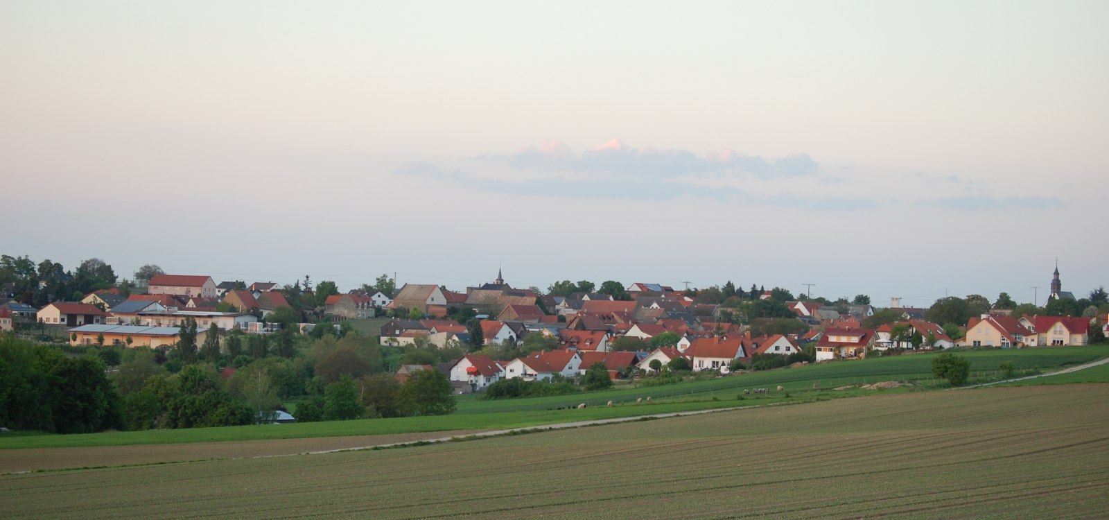 Weinolsheim, © Rhein-Selz Tourismus e. V. Blick von umliegenden Feldern auf ein Dorf