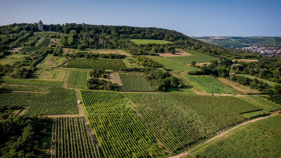 Gau-Algesheimer Steinert Gau-Algesheimer Steinert