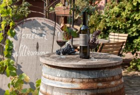 Herzlich Willkommen im Weingut Strub © Weingut Strub Herzlich Willkommen im Weingut Strub © Weingut Strub