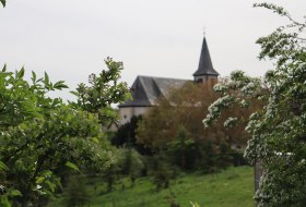 Blick auf St. Pirmin in Eimsheim © Tourismus Service Center der Verbandsgemeinde Rhein-Selz Blick auf St. Pirmin in Eimsheim © Tourismus Service Center der Verbandsgemeinde Rhein-Selz
