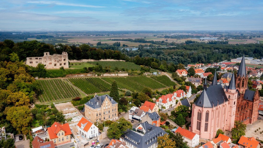 Oppenheimer Herrenberg Oppenheimer Herrenberg