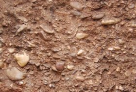 Kies Sand Lehmrigosol Kies Sand Lehmrigosol