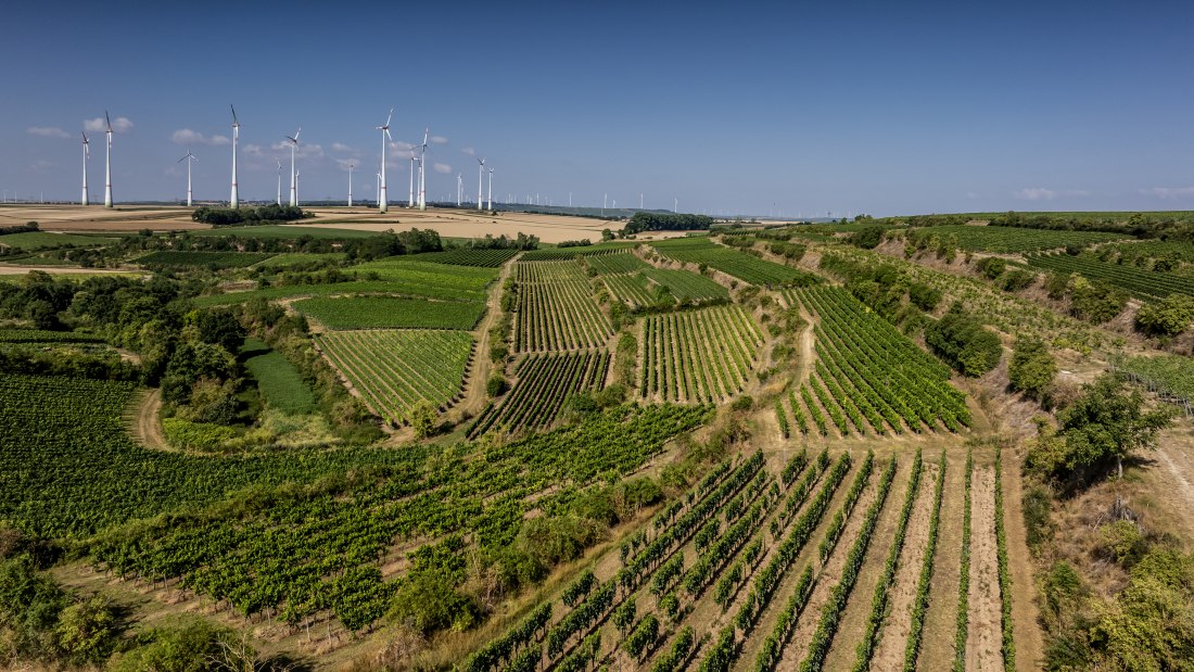 Alsheimer Römerberg, © Torsten Silz Alsheimer Römerberg, © Torsten Silz