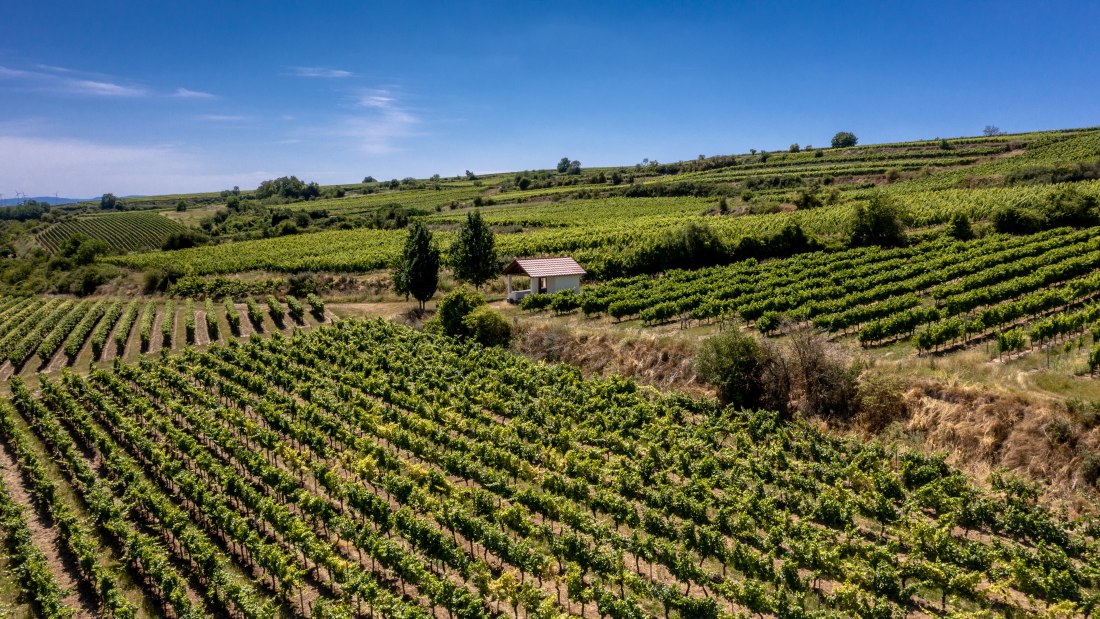 Mettenheimer Schlossberg Mettenheimer Schlossberg