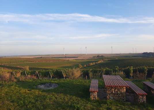 Junghennblick mit Rastmöglichkeit Uelversheim © TSC Rhein-Selz Junghennblick mit Rastmöglichkeit Uelversheim © TSC Rhein-Selz
