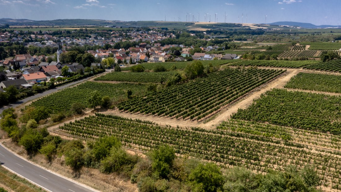 Monsheimer Rosengarten Monsheimer Rosengarten