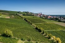 Oppenheimer Kreuz Oppenheimer Kreuz