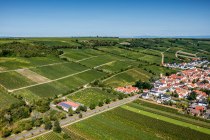 Dienheimer Falkenberg Dienheimer Falkenberg