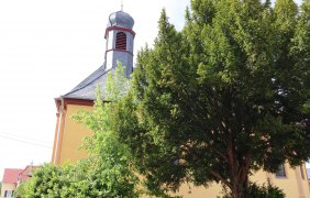 Kirchturm der Kat. Kirche in Friesenheim © Tourismus Service Center der Verbandsgemeinde Rhein-Selz Kirchturm der Kat. Kirche in Friesenheim © Tourismus Service Center der Verbandsgemeinde Rhein-Selz