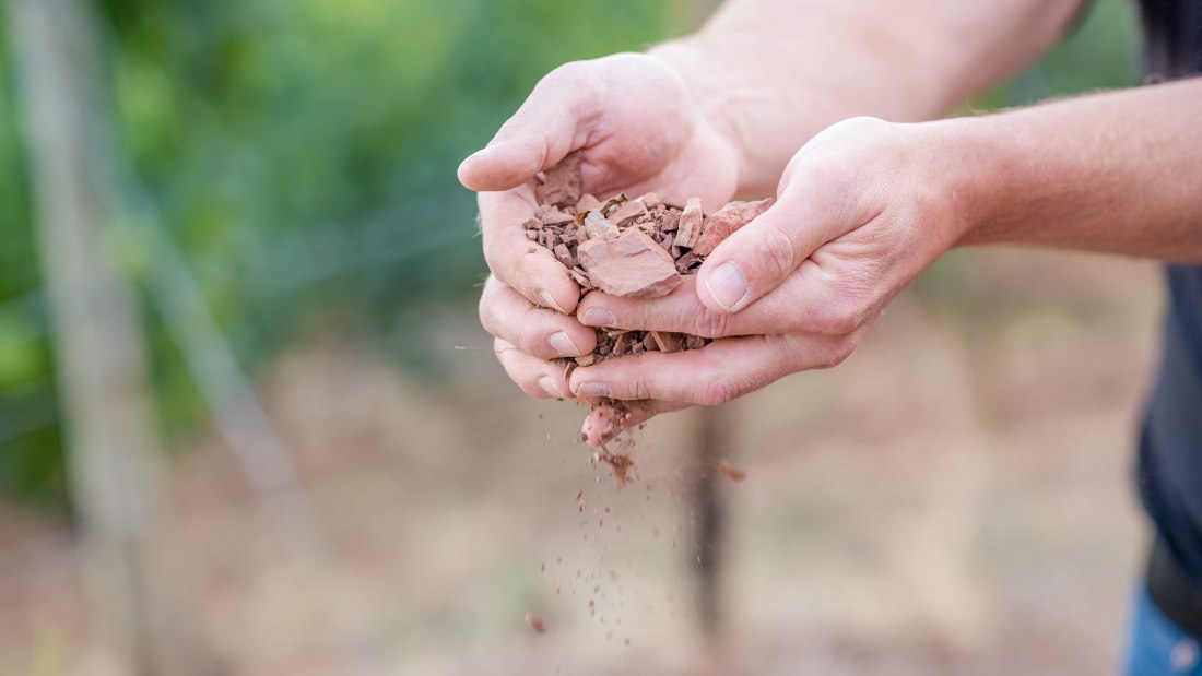 Weingut Seebrich_Hände, © Weingut Seebrich Weingut Seebrich_Hände, © Weingut Seebrich