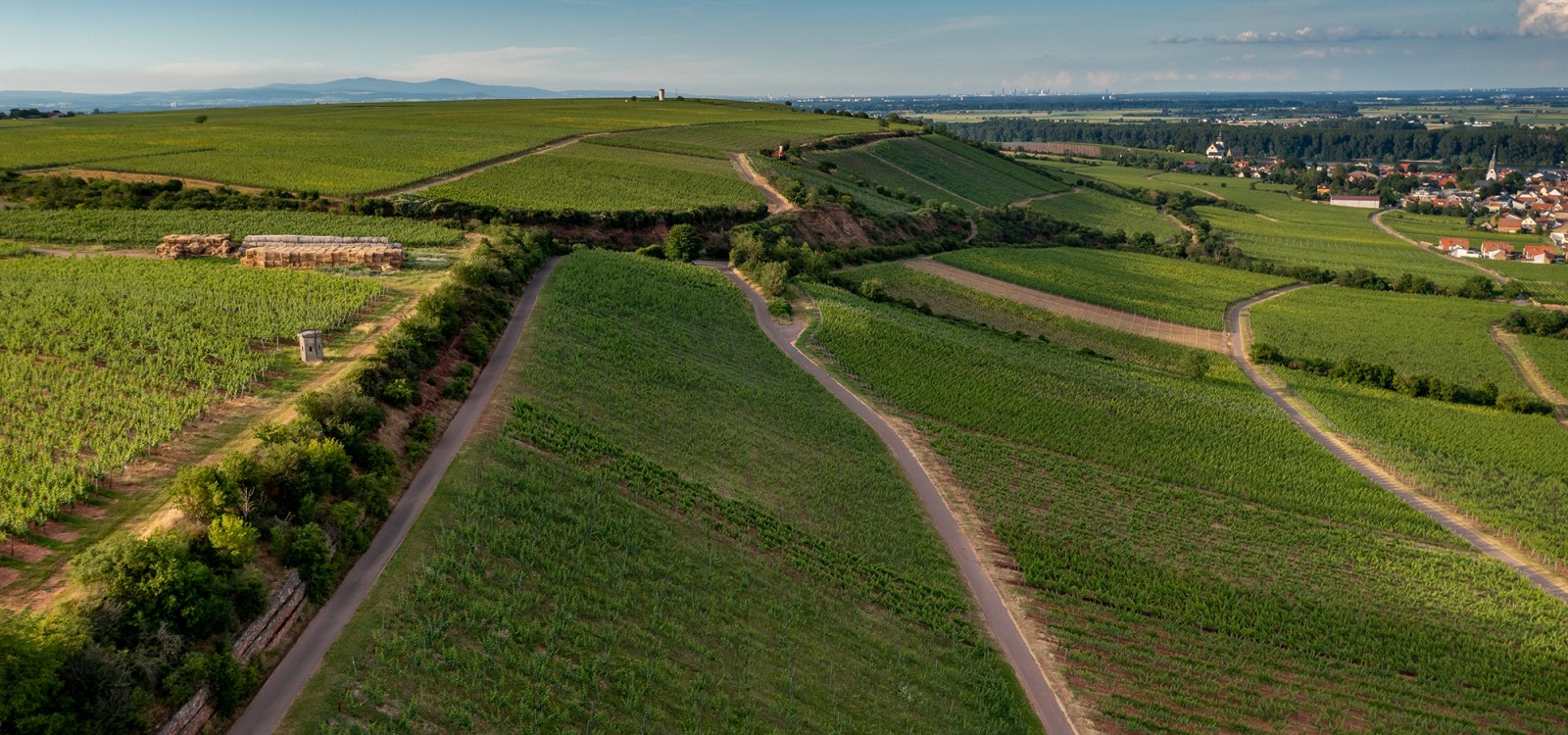 Niersteiner Orbel Niersteiner Orbel