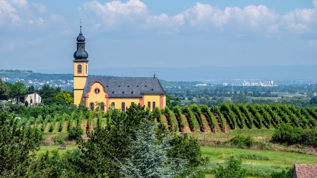 Nackenheimer Rothenberg Nackenheimer Rothenberg