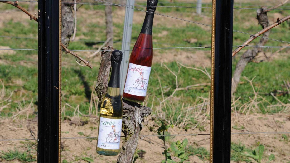 Weingut Heiko Strub_Pedalo, © Weingut Heiko Strub Weingut Heiko Strub_Pedalo, © Weingut Heiko Strub