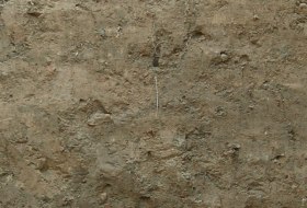 Löss Kolluvisol, © Landesamt für Geologie und Bergbau Rheinland-Pfalz Löss Kolluvisol, © Landesamt für Geologie und Bergbau Rheinland-Pfalz