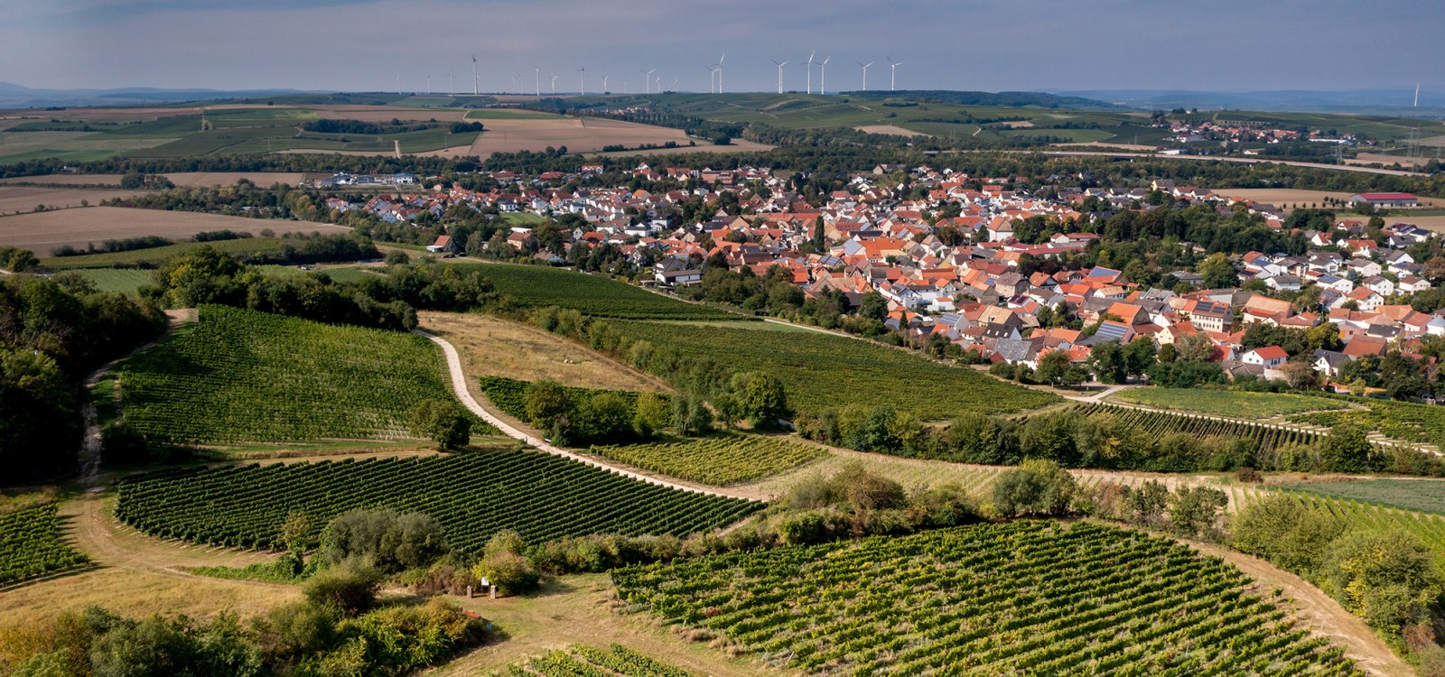 Albiger Schloss Hammerstein Albiger Schloss Hammerstein