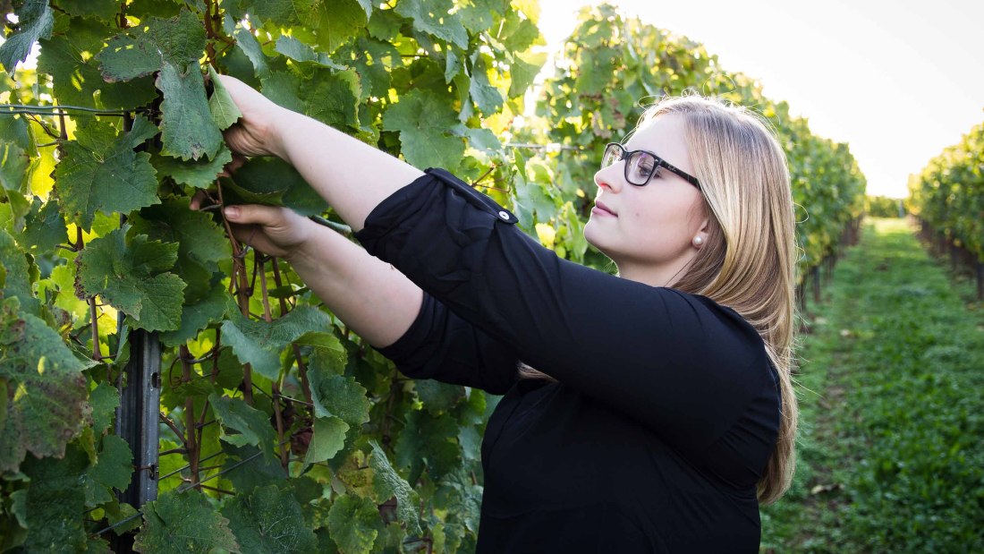 Weingut Sternenfelserhof_Jana Kopp, © Weingut Sternenfelserhof Weingut Sternenfelserhof_Jana Kopp, © Weingut Sternenfelserhof