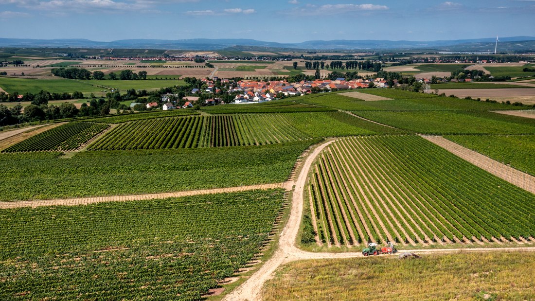 Eckelsheimer Kirchberg Eckelsheimer Kirchberg