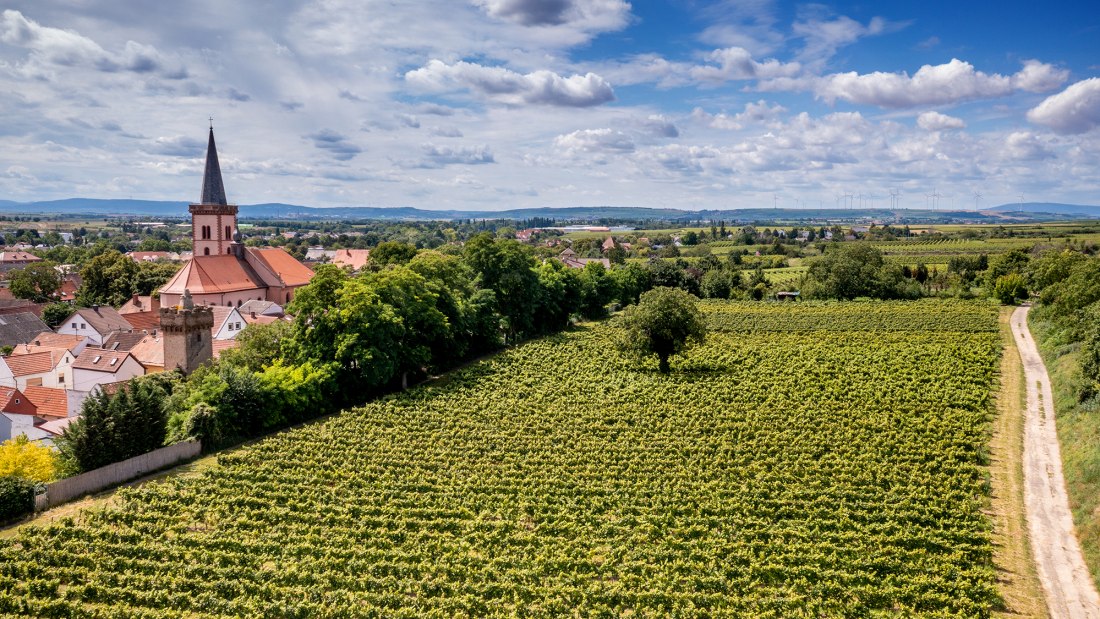 Pfeddersheimer Sankt Georgenberg Pfeddersheimer Sankt Georgenberg