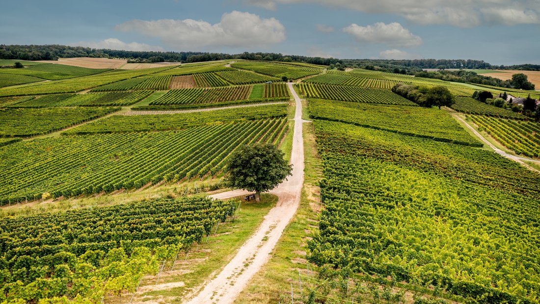 Hackenheimer Kirchberg Hackenheimer Kirchberg