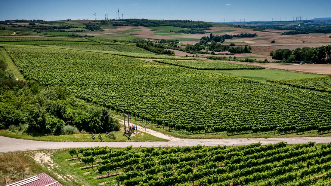 Klein-Winternheimer Geiershölle Klein-Winternheimer Geiershölle