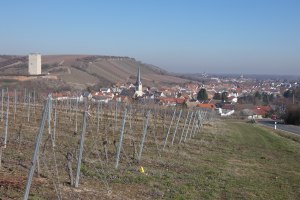 Nierstein Schwabsburg, © TSC Rhein-Selz Nierstein Schwabsburg, © TSC Rhein-Selz