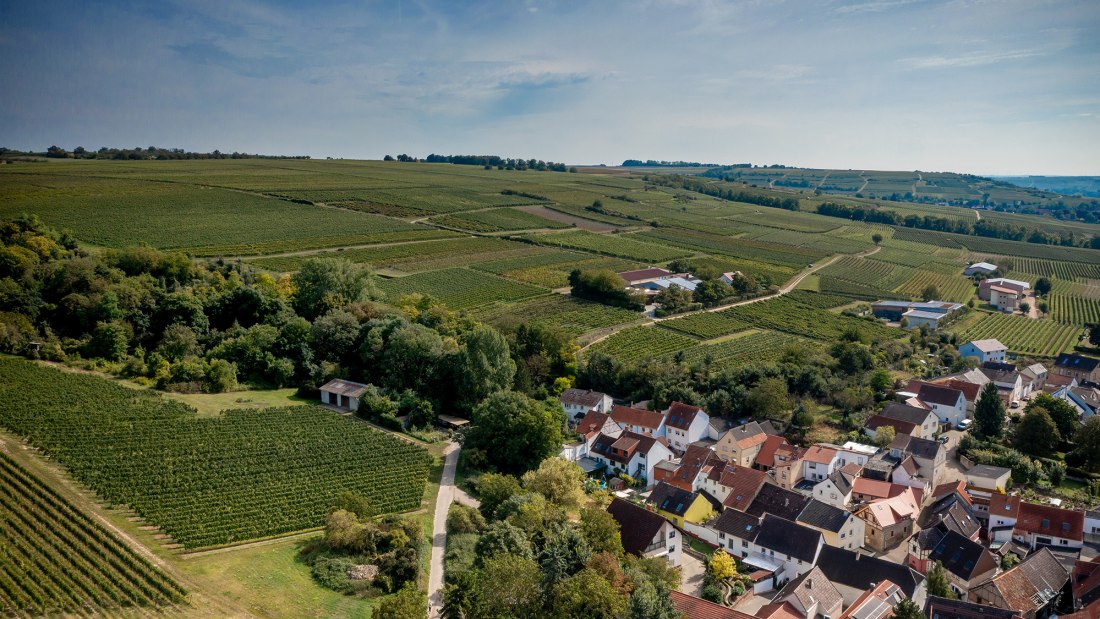 Groß-Winternheimer Bockstein Groß-Winternheimer Bockstein