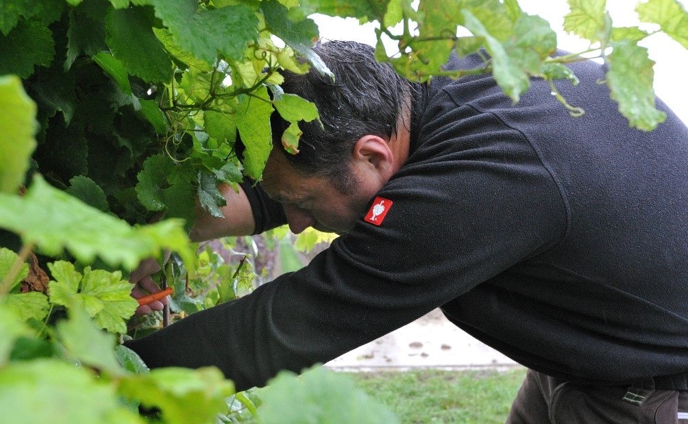 Weingut Bacchushof_Dirk Berges, © Weingut Bacchushof Weingut Bacchushof_Dirk Berges, © Weingut Bacchushof
