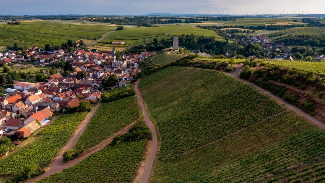 Niersteiner Orbel Niersteiner Orbel