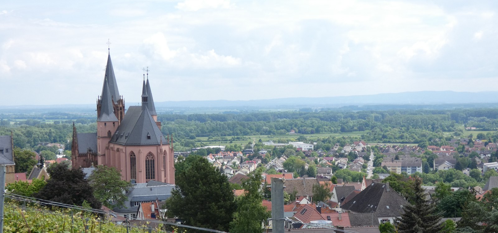 Oppenheim vom RheinTerrassenWeg, © TSC Rhein-Selz Oppenheim vom RheinTerrassenWeg, © TSC Rhein-Selz