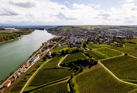 Nierstein_Weinberg Nierstein_Weinberg