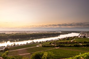Roter Hang, Abendsonne über Nierstein, © Rheinhessen-Touristik GmbH, Dominik Ketz Roter Hang, Abendsonne über Nierstein, © Rheinhessen-Touristik GmbH, Dominik Ketz