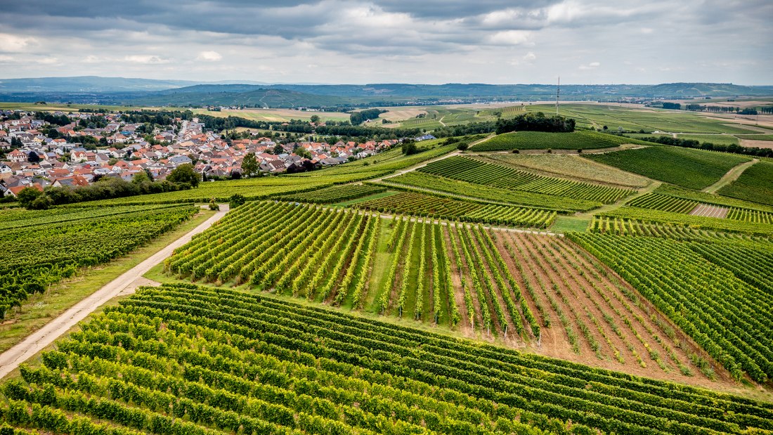 Hackenheimer Kirchberg Hackenheimer Kirchberg