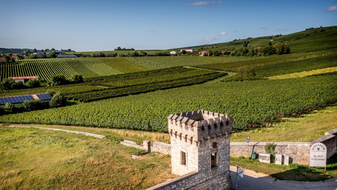 Bodenheimer Burgweg Bodenheimer Burgweg