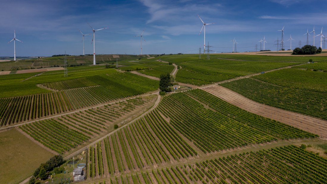 Gau-Heppenheimer Schlossberg Gau-Heppenheimer Schlossberg
