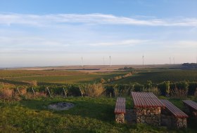 Junghennblick mit Rastmöglichkeit Uelversheim © TSC Rhein-Selz Junghennblick mit Rastmöglichkeit Uelversheim © TSC Rhein-Selz