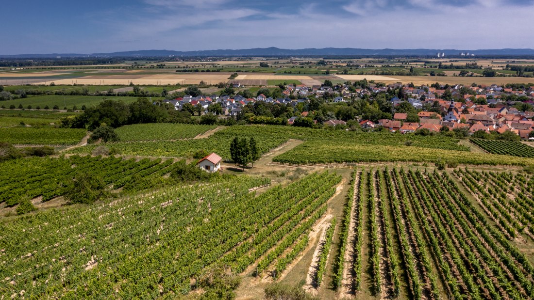 Mettenheimer Schlossberg Mettenheimer Schlossberg