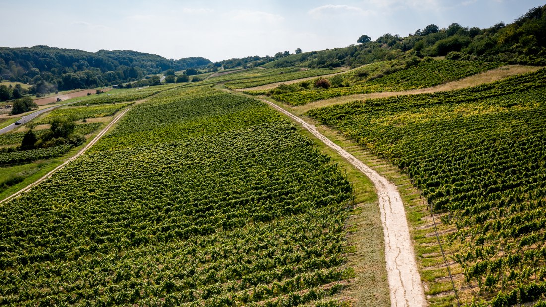 Jugenheimer Goldberg Jugenheimer Goldberg