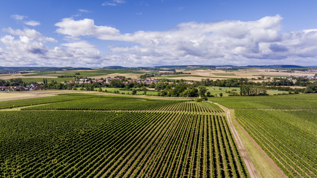 Badenheimer Galgenberg Badenheimer Galgenberg