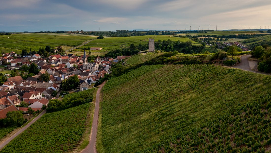 Niersteiner Orbel Niersteiner Orbel