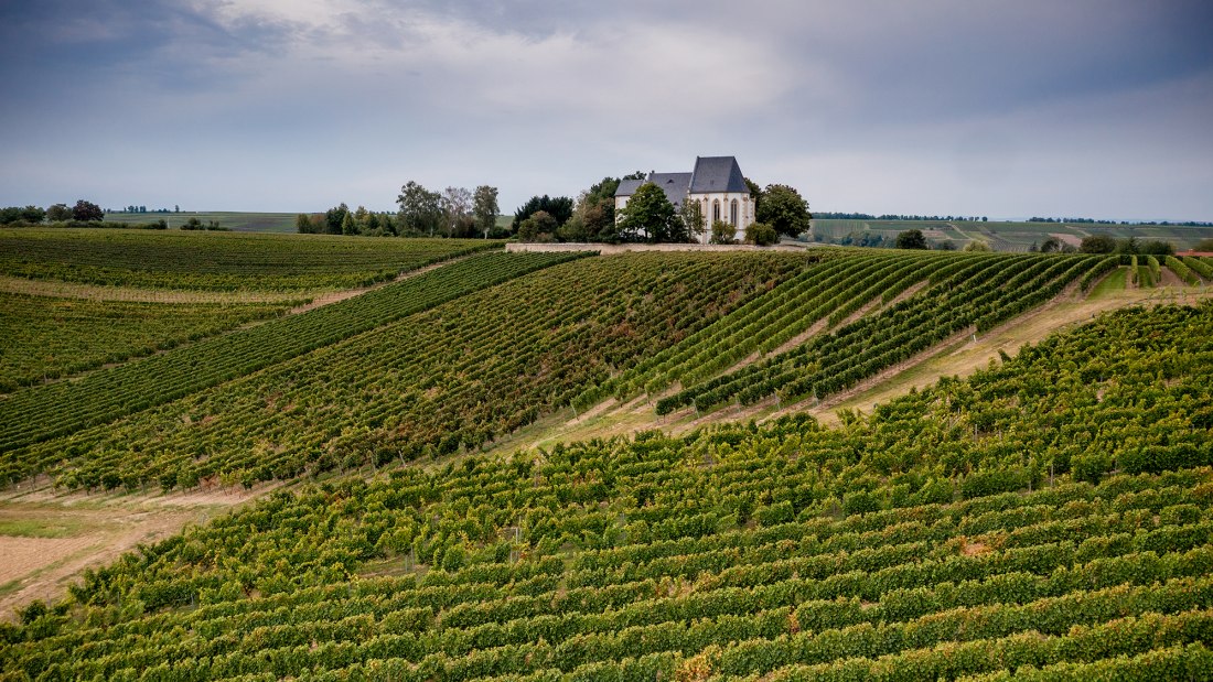 Udenheimer Kirchberg Udenheimer Kirchberg