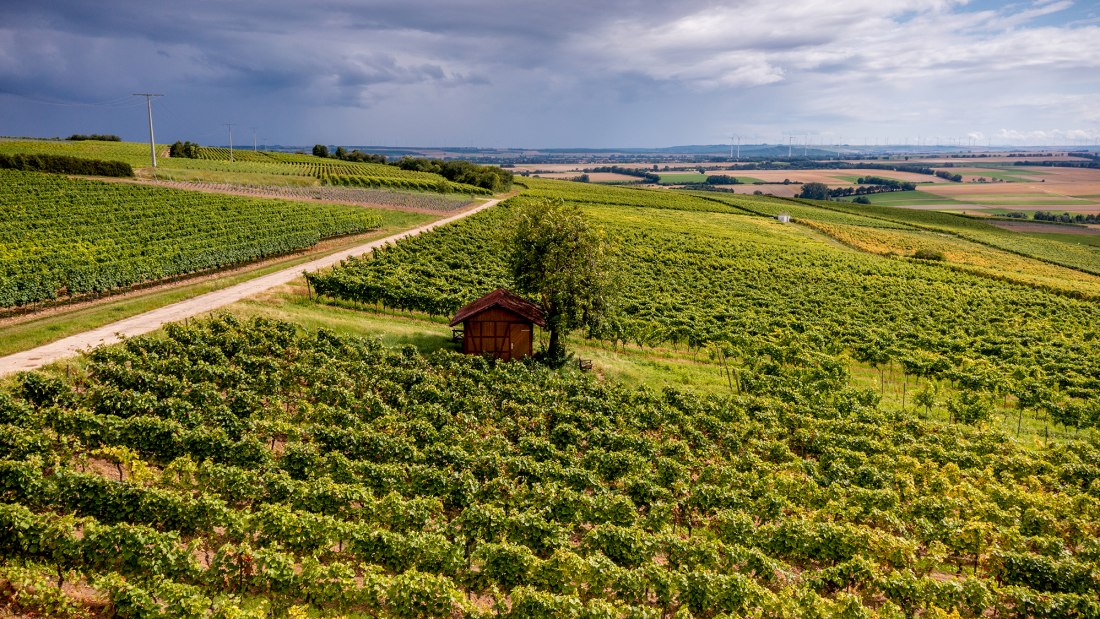 Sörgenlocher Moosberg Sörgenlocher Moosberg