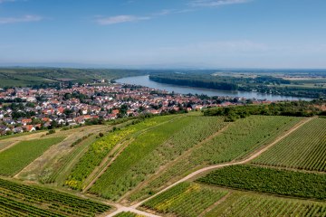 Niersteiner Parterberg-DJI_0222-178, © Torsten Silz Niersteiner Parterberg-DJI_0222-178, © Torsten Silz