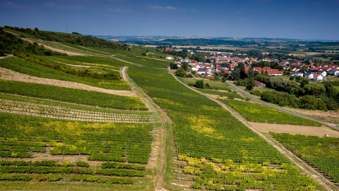 Jugenheimer Goldberg Jugenheimer Goldberg