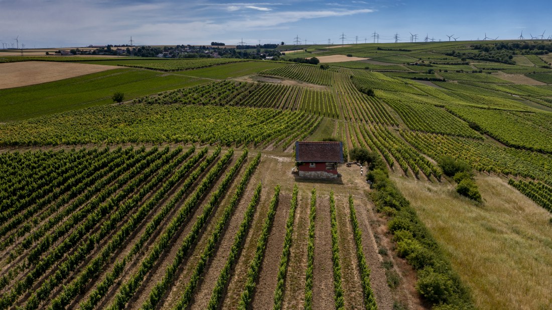 Monzernheimer Goldberg Monzernheimer Goldberg