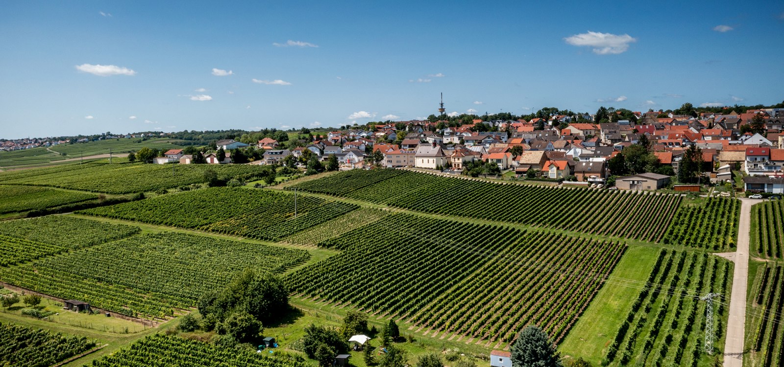 Ober-Olmer Kapellenberg Ober-Olmer Kapellenberg