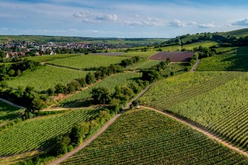 Niersteiner Kranzberg Niersteiner Kranzberg