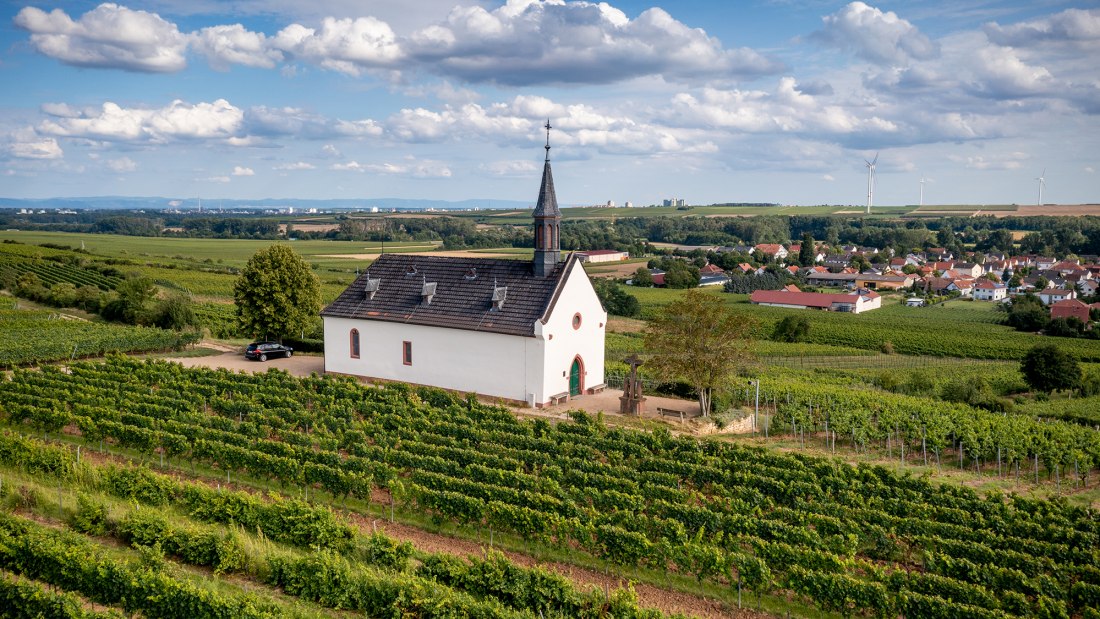 Abenheimer Klausenberg, © Torsten Silz Abenheimer Klausenberg, © Torsten Silz
