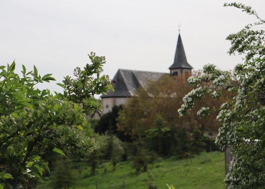 Blick auf St. Pirmin in Eimsheim © Tourismus Service Center der Verbandsgemeinde Rhein-Selz Blick auf St. Pirmin in Eimsheim © Tourismus Service Center der Verbandsgemeinde Rhein-Selz